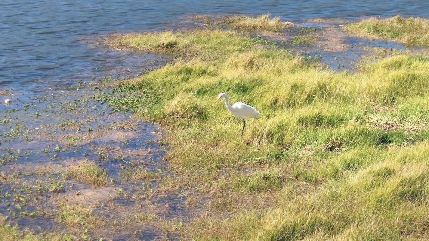 十一月云南旅游攻略腾冲 (从云南腾冲看云南旅游攻略)