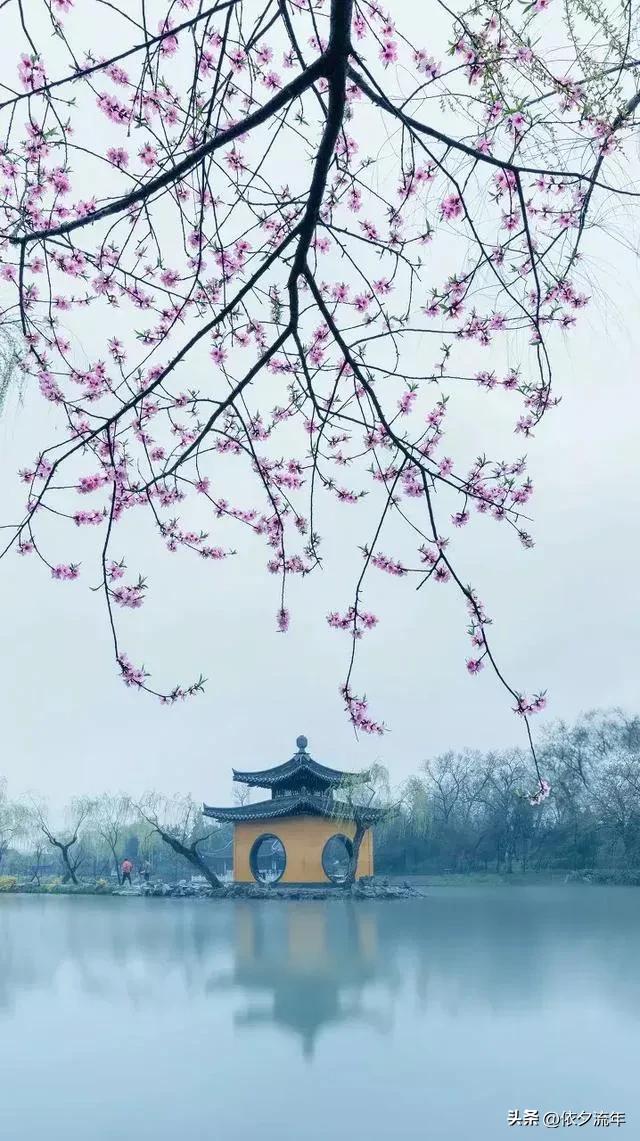 杨绛先生经典语录没人能够伤害你,杨绛先生经典语录人生哲理