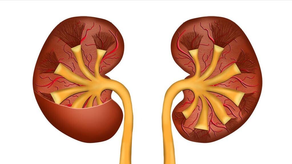 早上起来就拉肚子，比闹钟还准时？赶紧试试这四味药