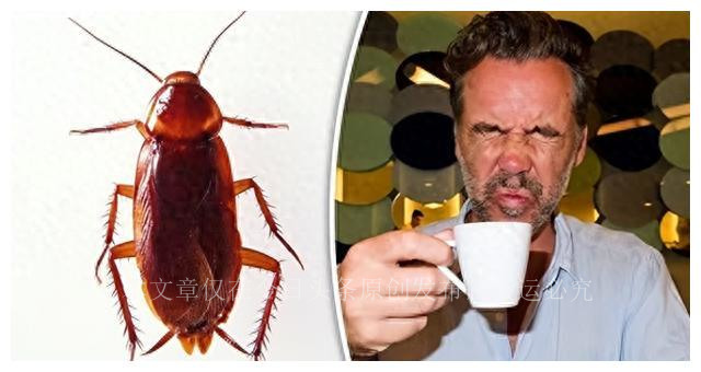 13个活久见的事实：性教育课上的女人，阴道里长了“牙齿”