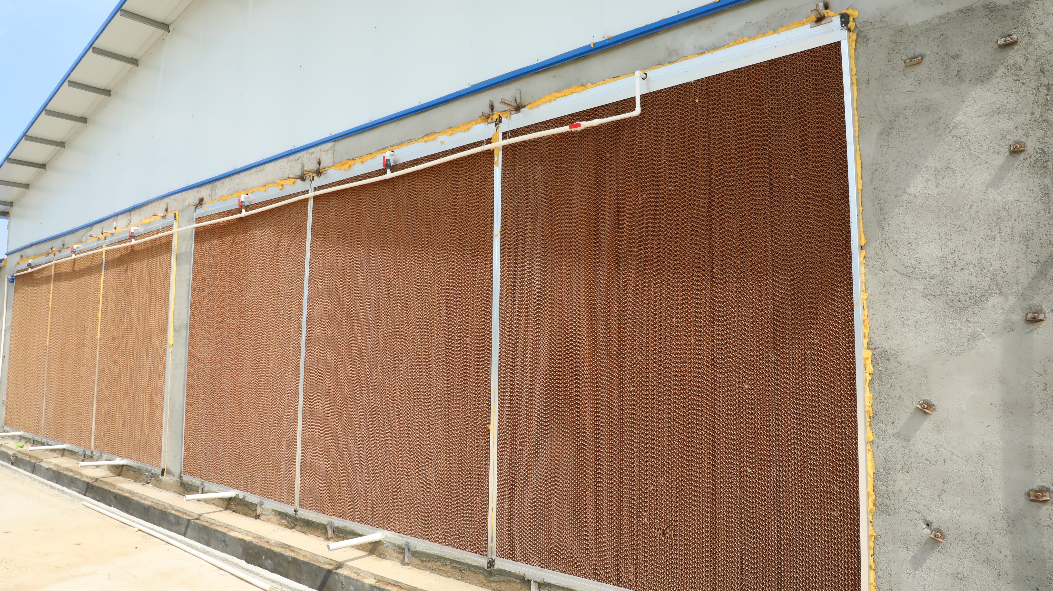 鸡高温中暑多少时间能够康复,夏天鸡高温中暑要用什么药