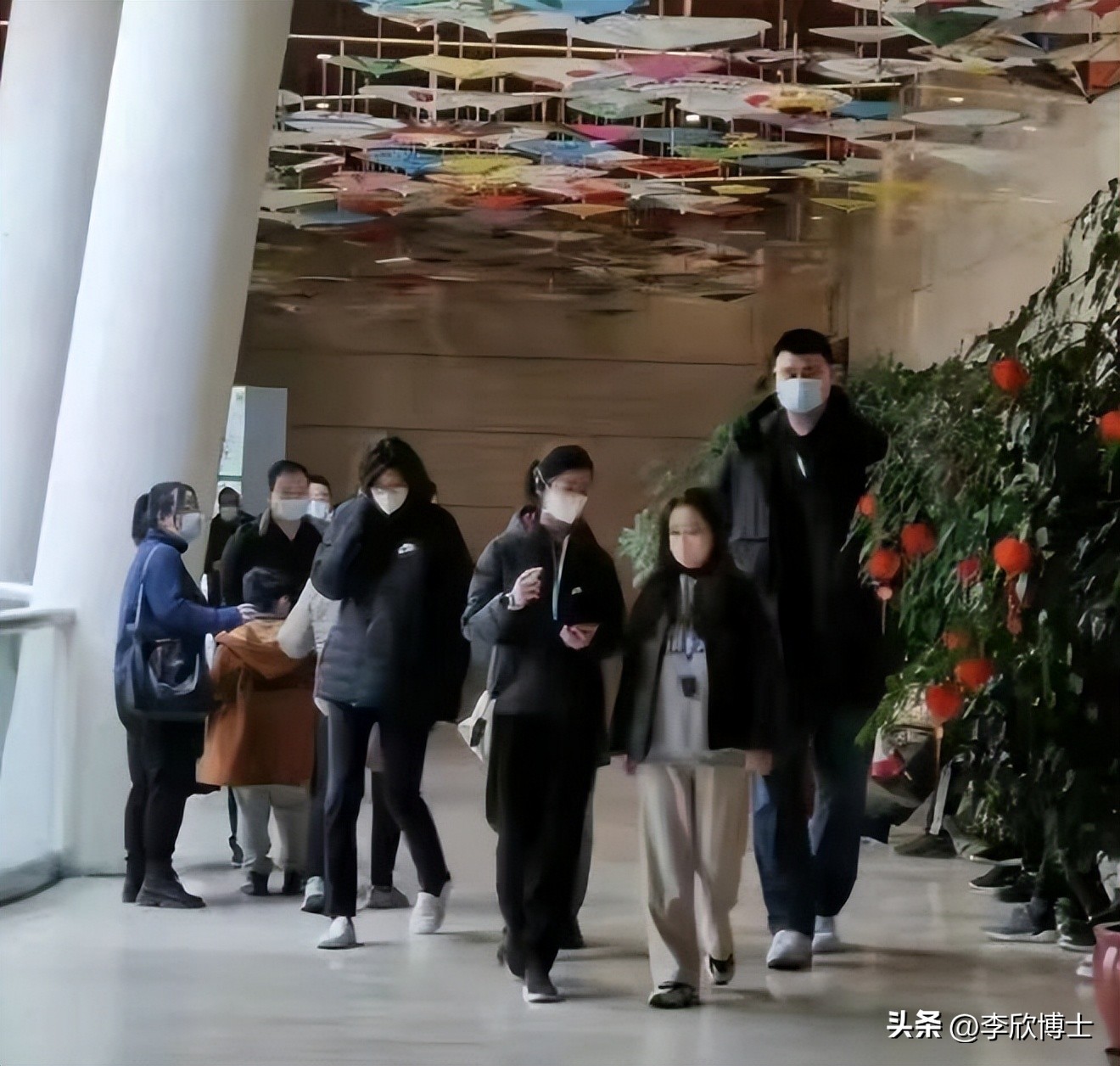 姚明叶莉女儿身高预测,姚明和他的女儿身高