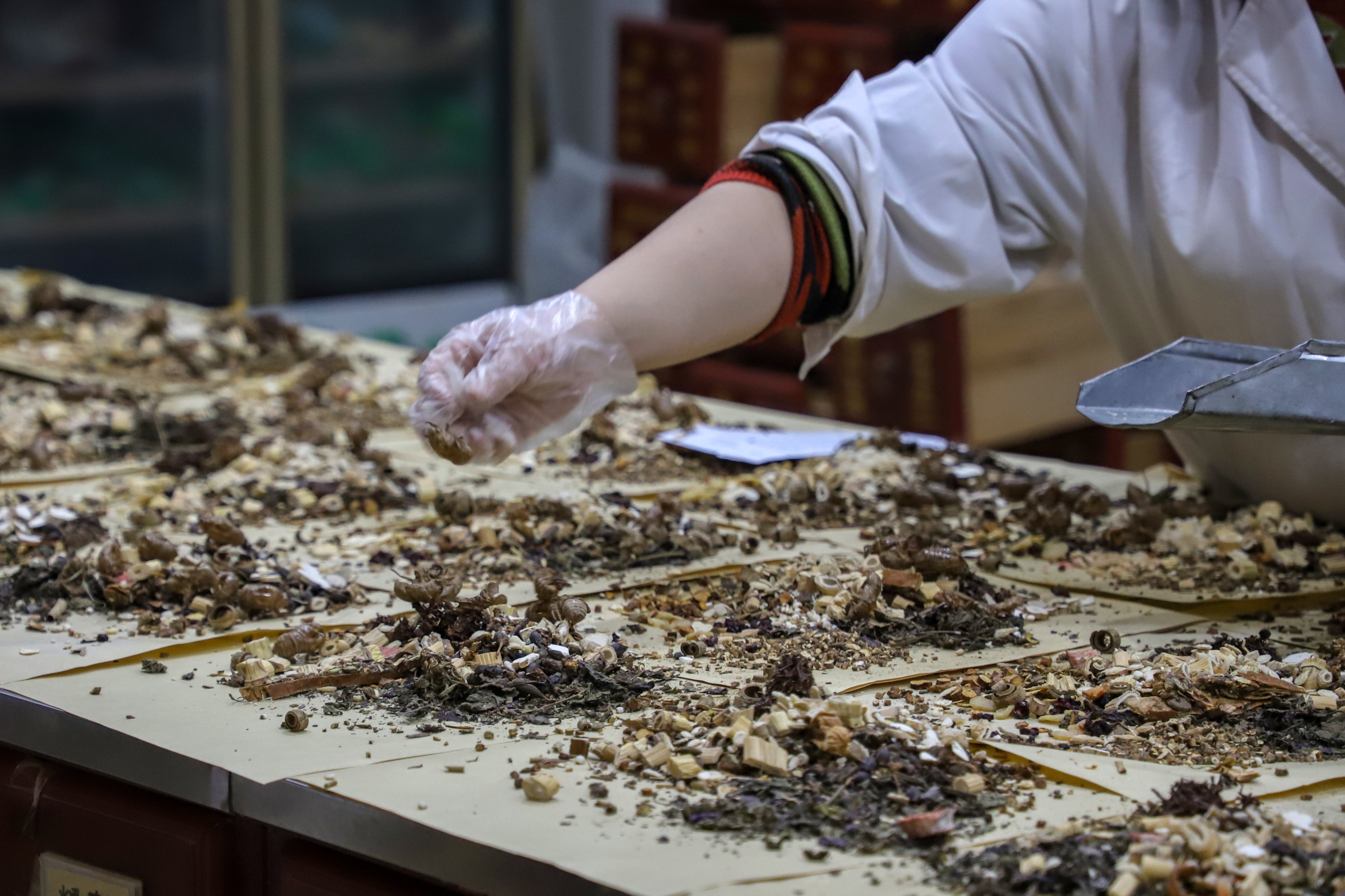 肺癌晚期患者吃药恶心反吐怎么办,肺癌喝中药后恶心是什么情况