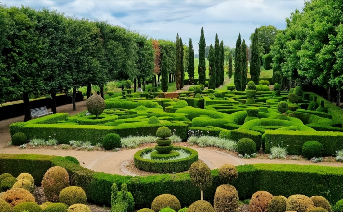 那些被我们忽略的风景,球球景观