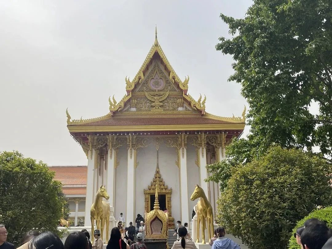 设计知旅第64期丨郑在洛地：设计师职业探索走进神都洛阳