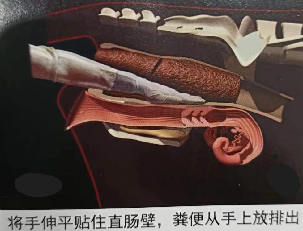 如何提高母牛同期的繁育能力,如何提高母牛受孕率