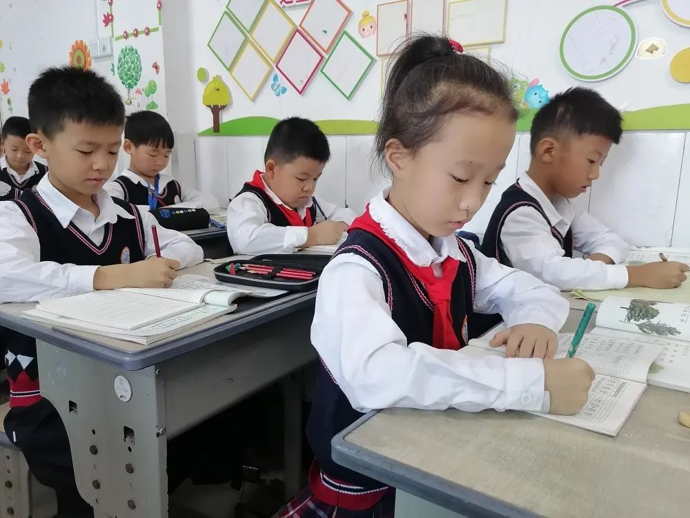 小学作业辅导班怎么高效管理,小学作业辅导工作内容