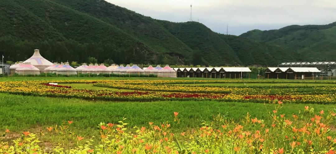 乡镇一把手必读|2023年乡镇旅游发展重点