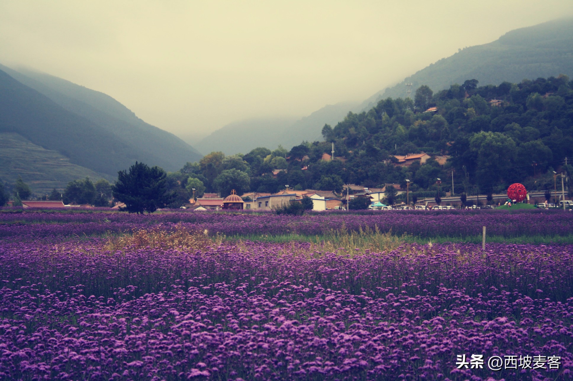 论述辛亥革命的历史意义及局限性,辛亥革命的意义和局限性
