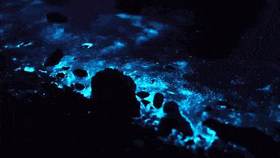 白天一起看海，晚上陪你数星星！这是什么宝藏工作？