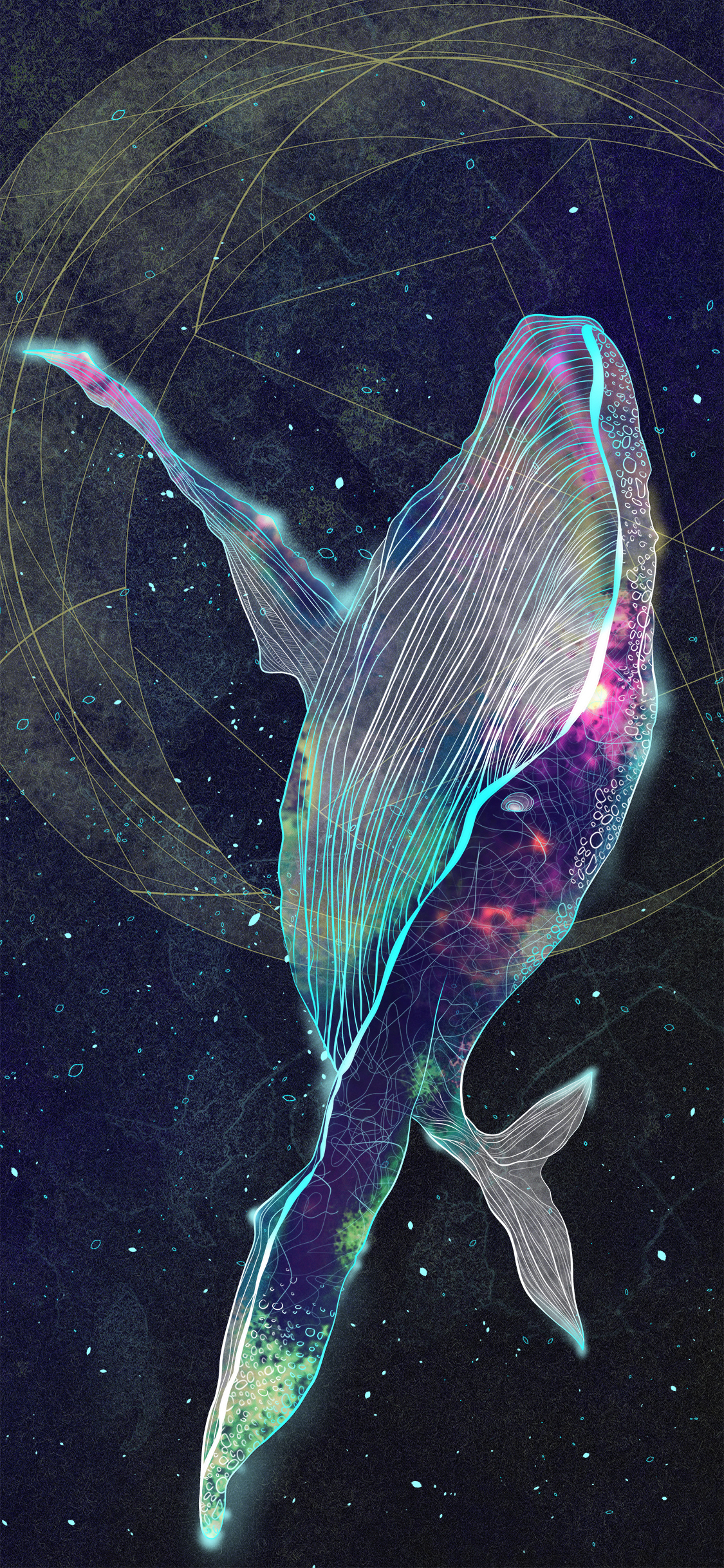 手机型号壁纸图片,169手机壁纸尺寸