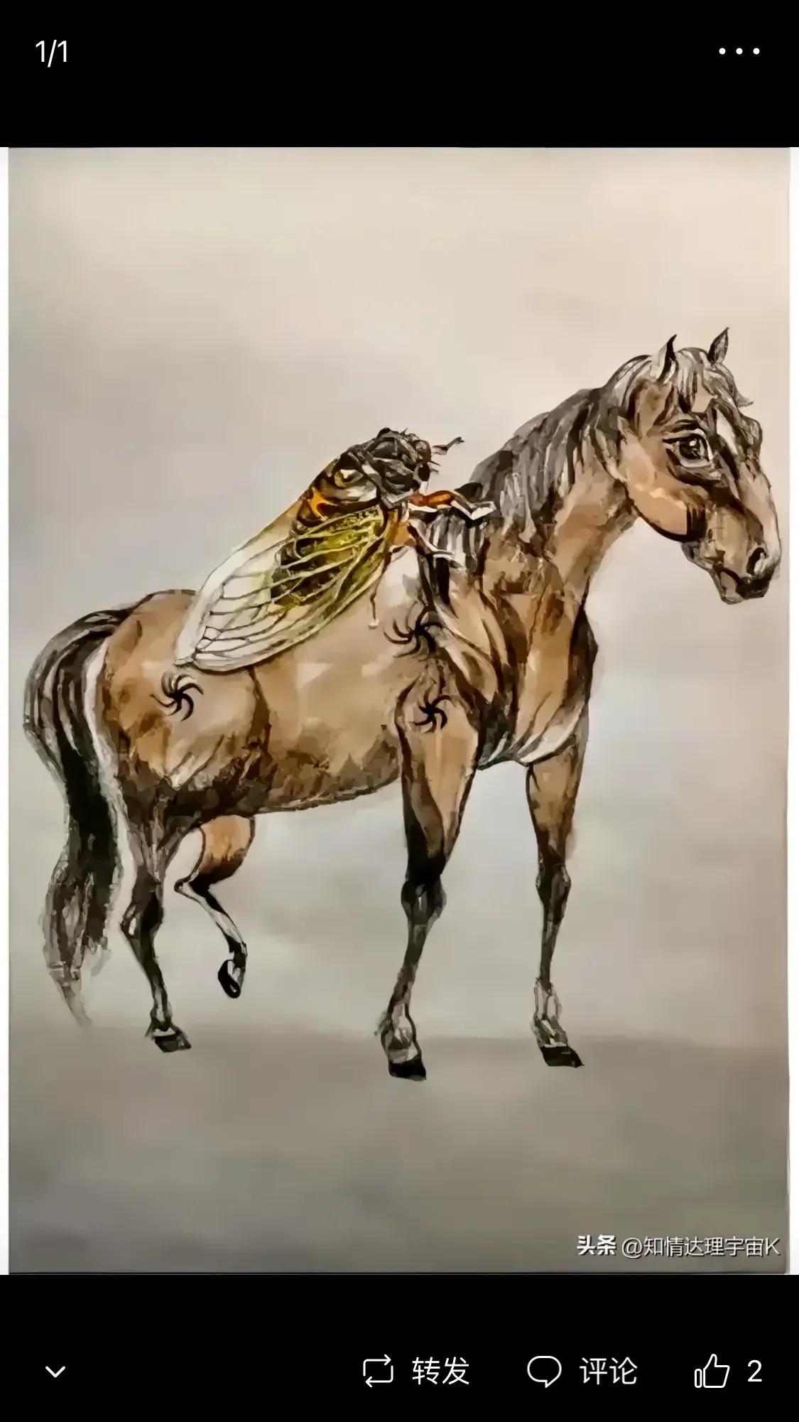 塘西河体育公园优惠团购,塘西河体育公园收费吗