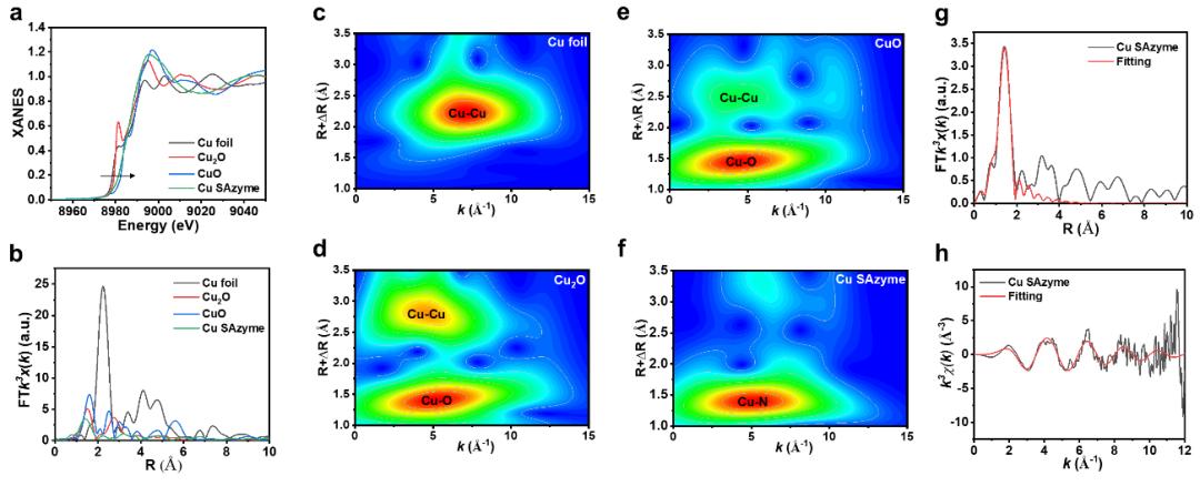 Angew:基于铜单原子纳米酶的细胞新陈代谢调控的高效温和光热治疗