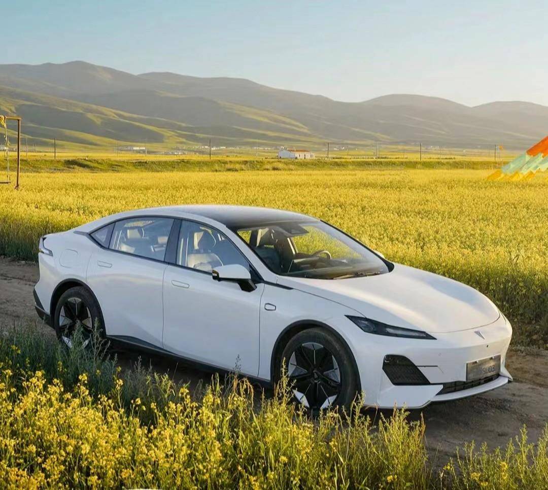 自主品牌新能源汽车排行榜最新,自主品牌新能源汽车品牌