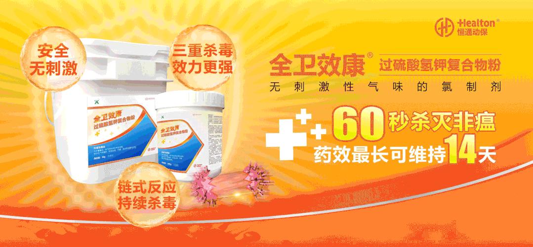 蔬菜发酵好了怎样喂猪,什么蔬菜喂猪效果最好