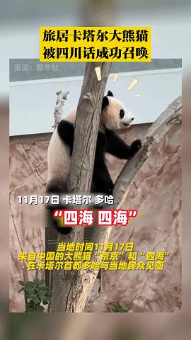 涓栫晫鏉涓夊ぉ鎴樻姤,涓栫晫鏉涓夊ぉ