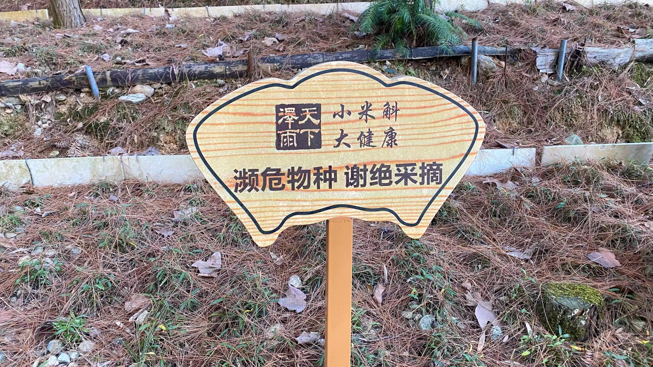 安徽有哪些小众景点,安徽被忽视的山峰