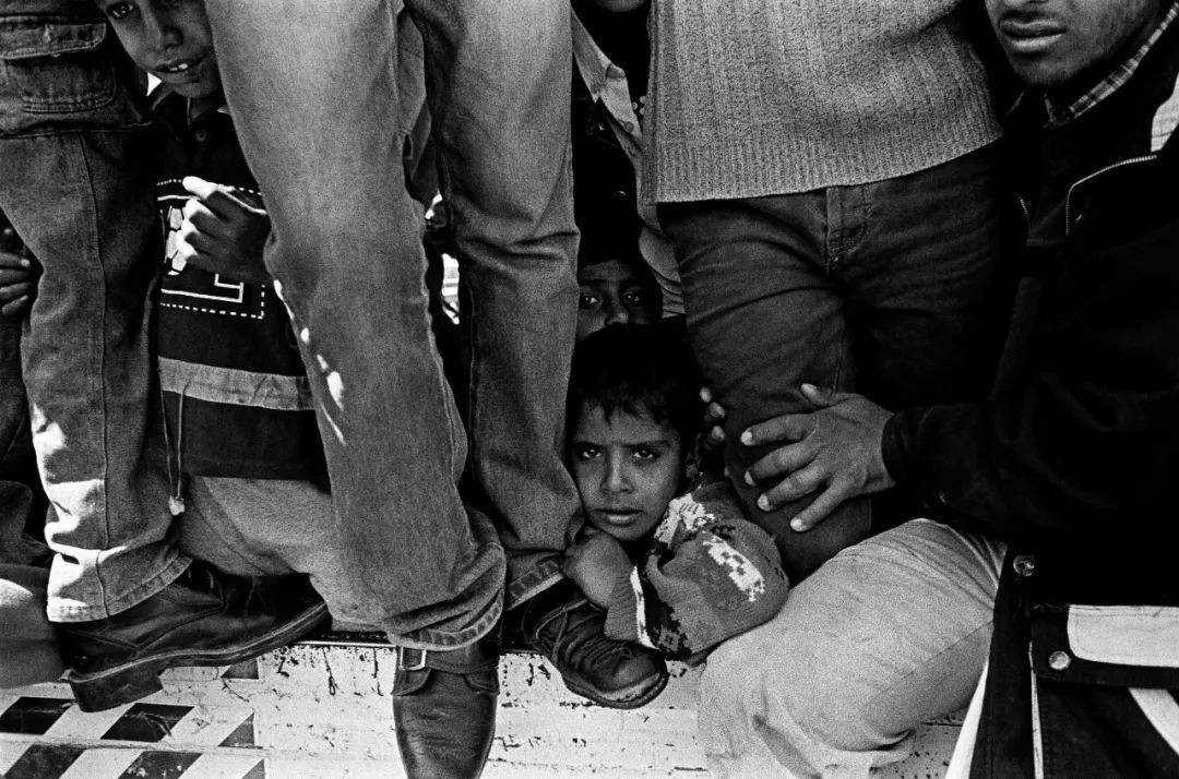 火花思维高磊,励志青年高磊