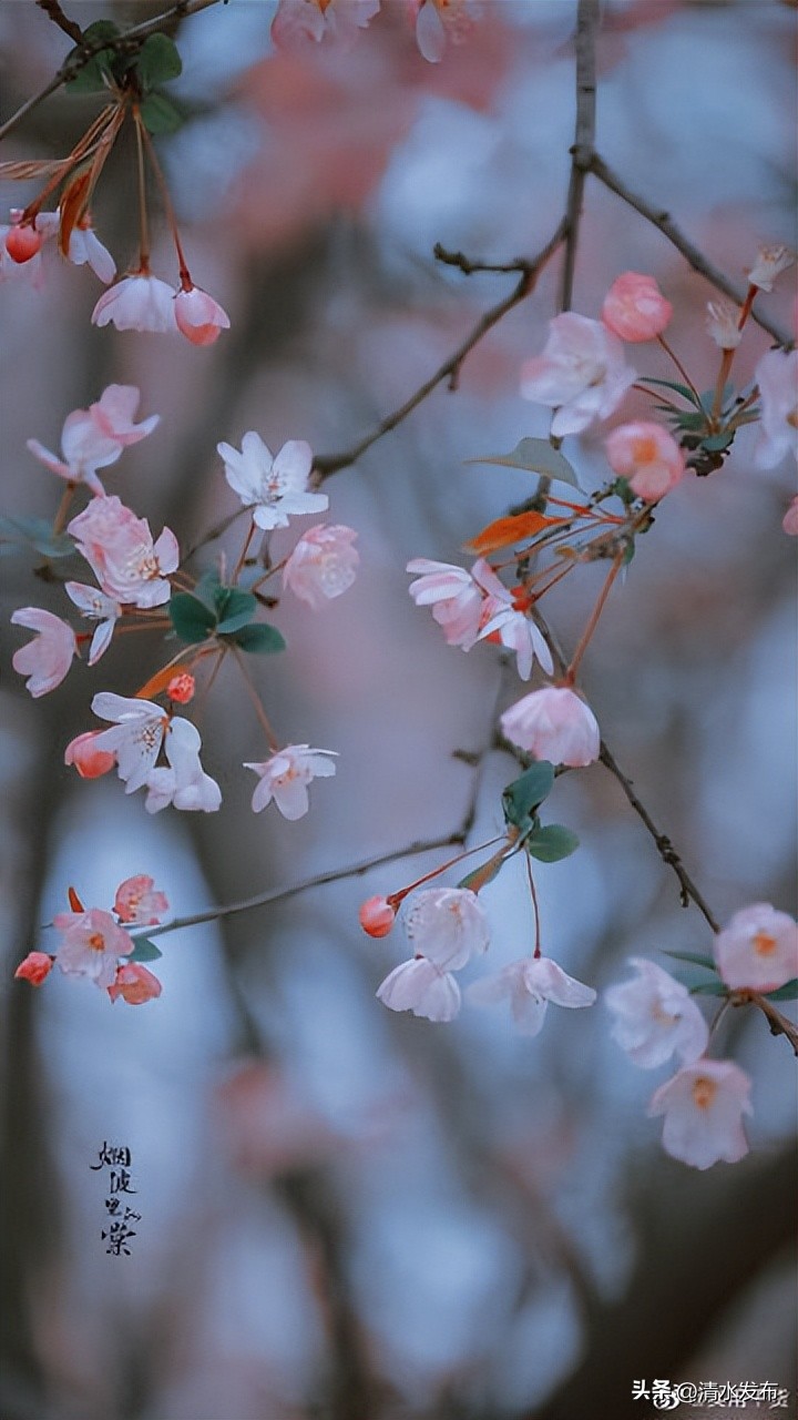 安慰顾城摘抄句子,亦是顾城文案句子摘抄