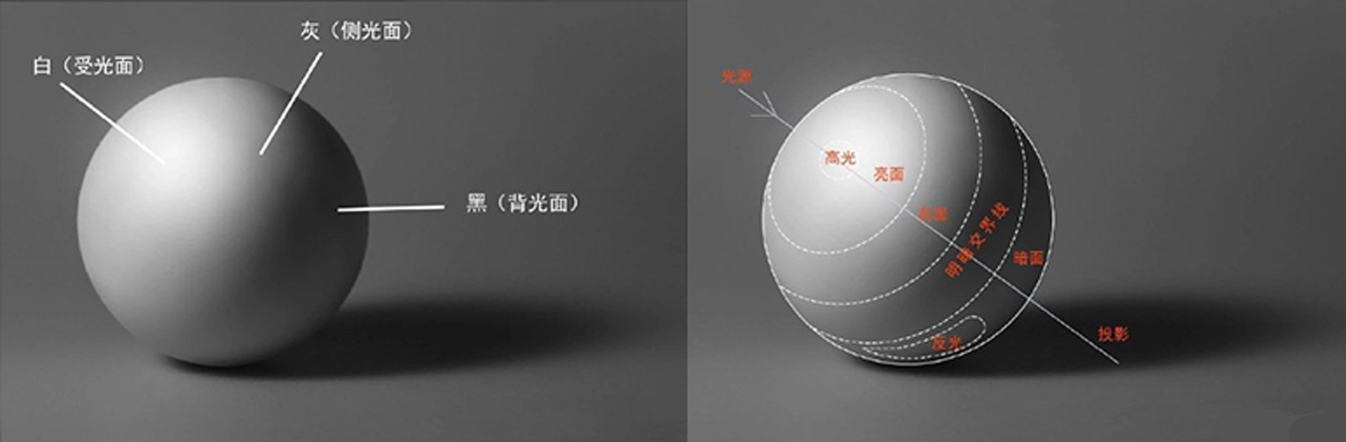 素描头发怎么画出体积感,头发局部特别容易上色