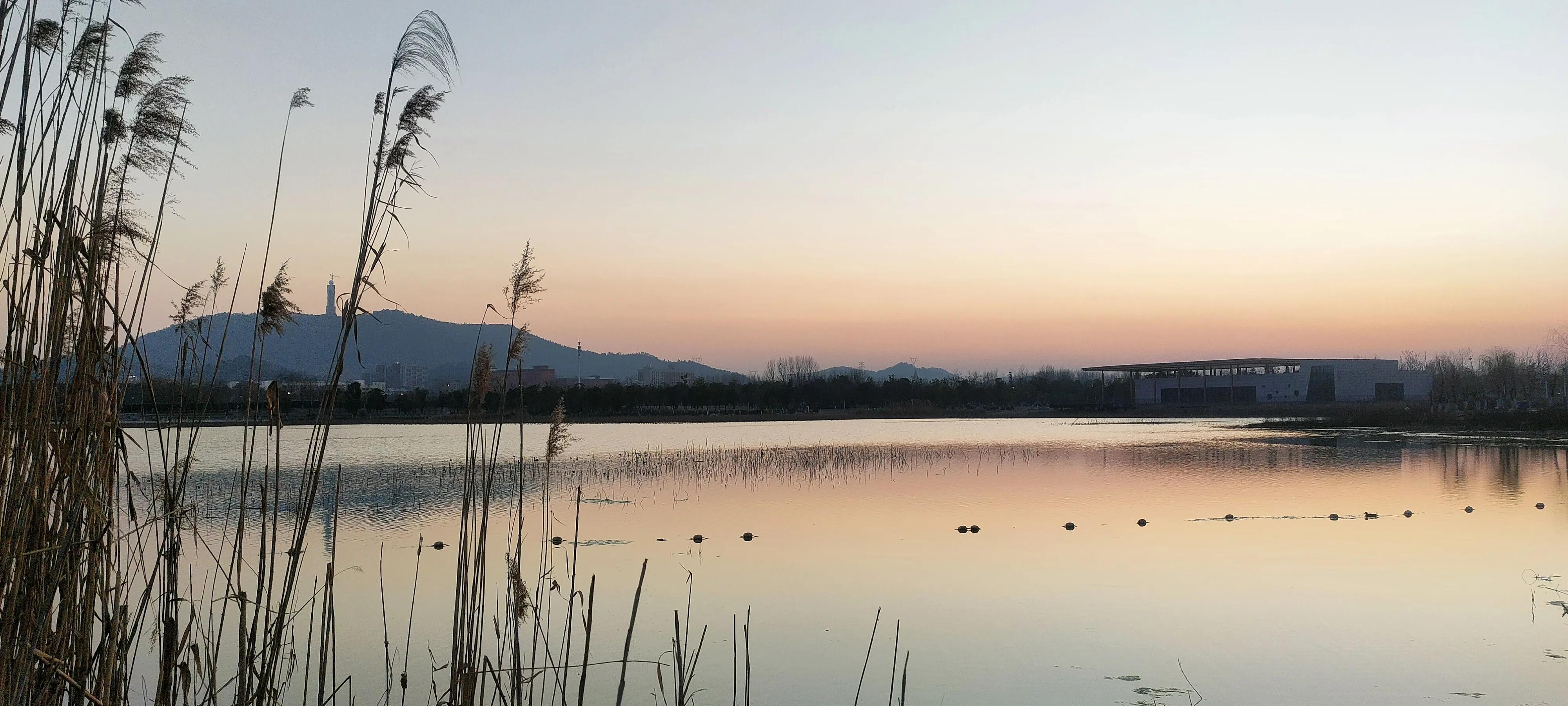 73岁老太扛水泥赚钱,回应73岁老太扛水泥赚钱