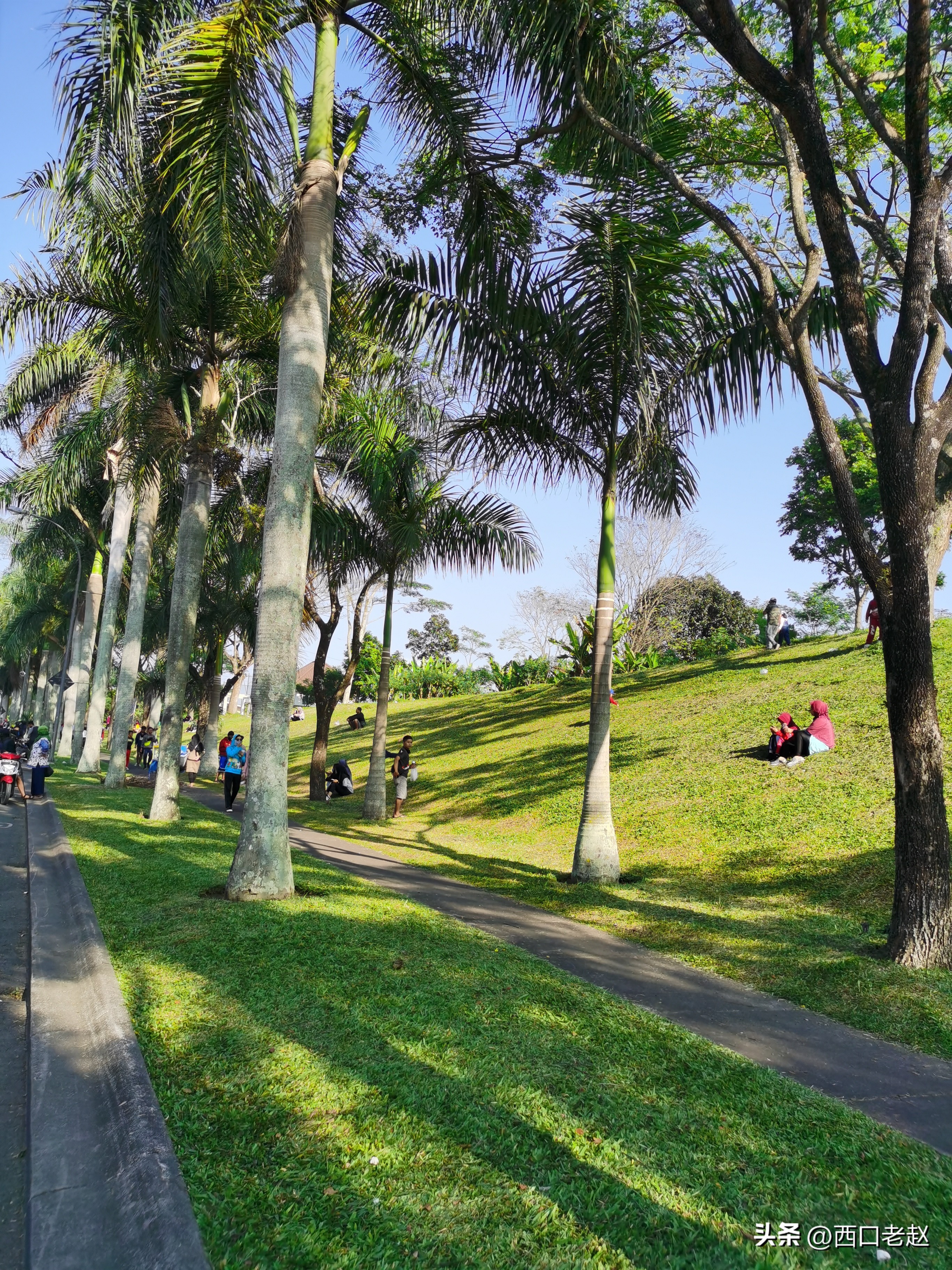 行走在国外的岁月33——致敬我的海外生涯