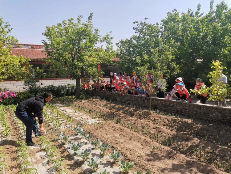 助力乡村振兴暑假研学实践活动,考察农耕田园研学基地目的