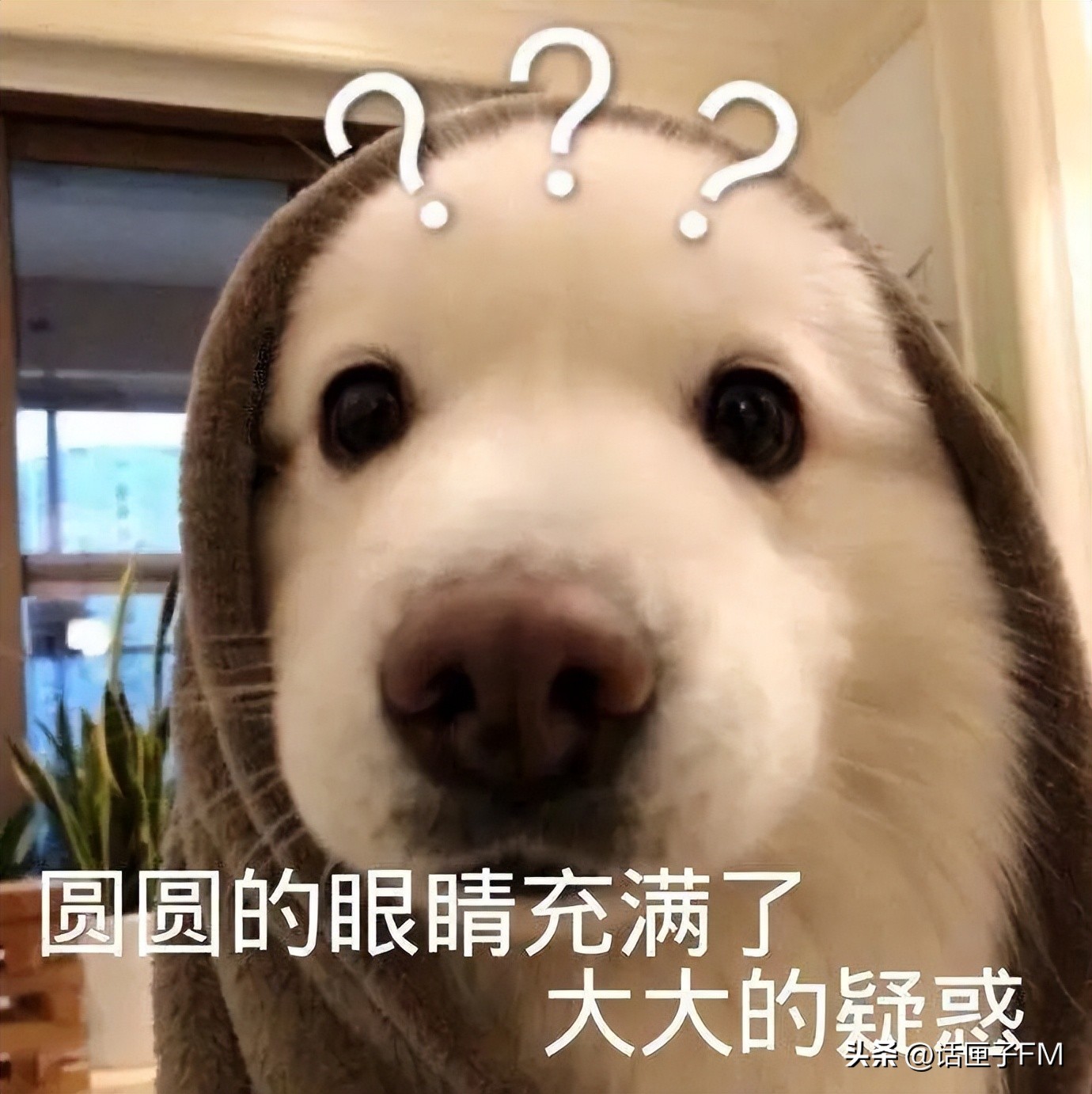 语音遥控器怎么使用视频教程,语音智能遥控器怎么使用的教程