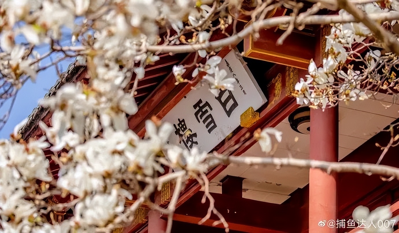 趵突泉公园里最有名的泉,趵突泉公园里哪里最好玩