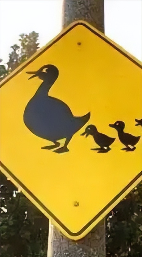 怪兽出没请避让,怪兽出没小心避让