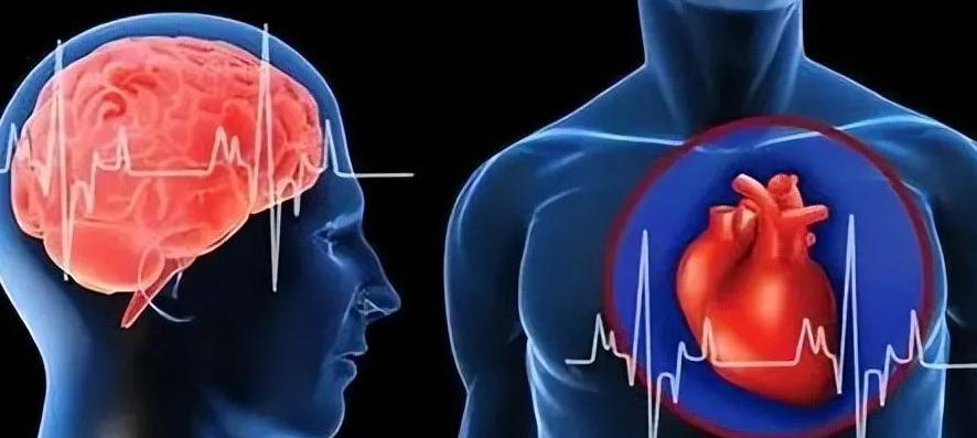 介入治疗能否疏通血管,心脑血管介入治疗最好医院