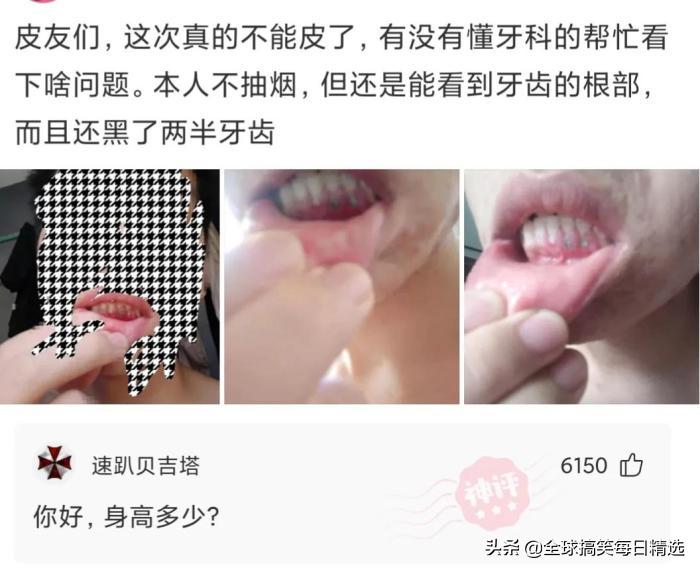 你的岗位还招人吗神回复,问做什么工作怎么神回复