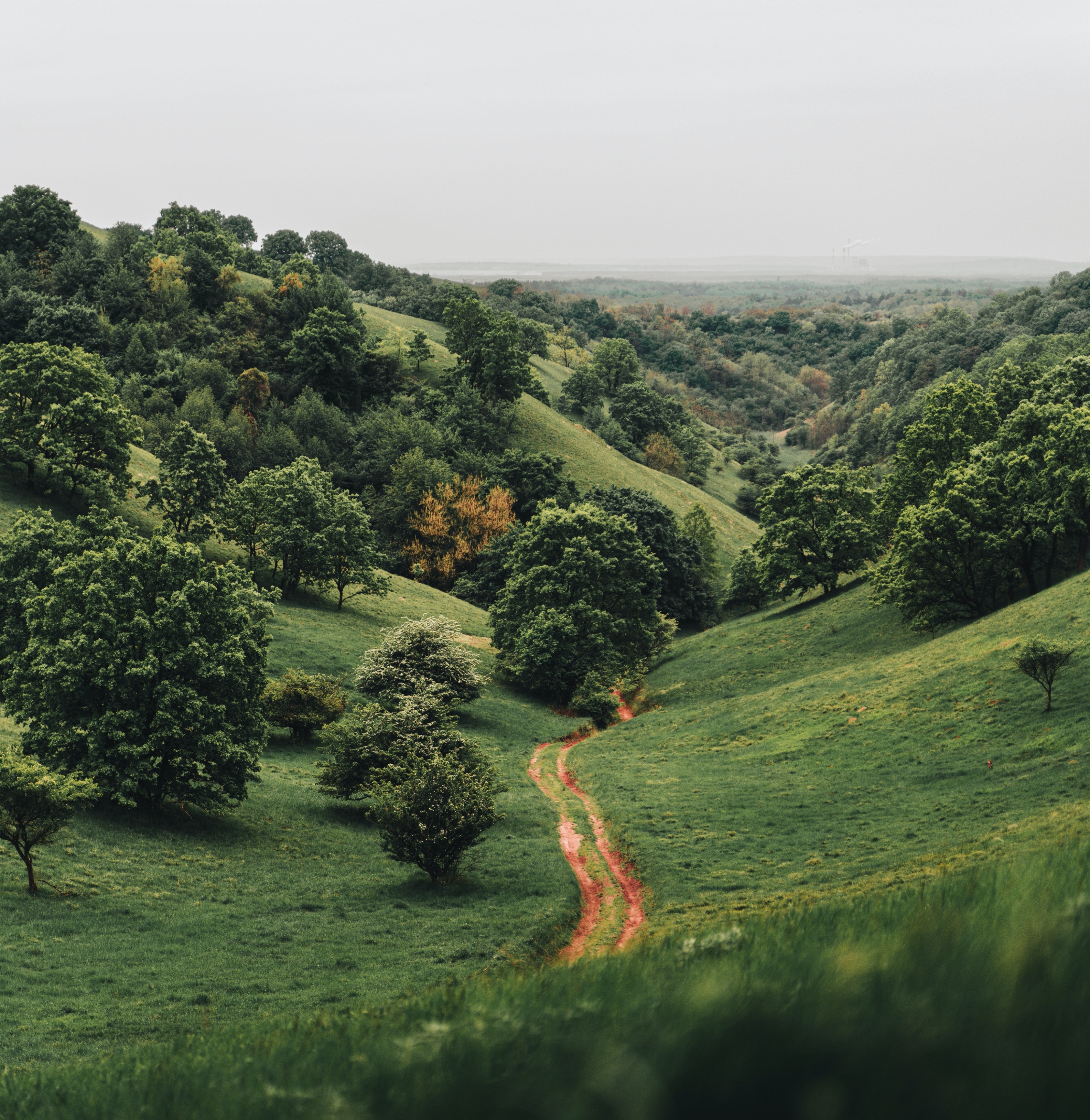 SSCD设计事务所｜世茂·铜雀台，空间里藏着的优雅美人
