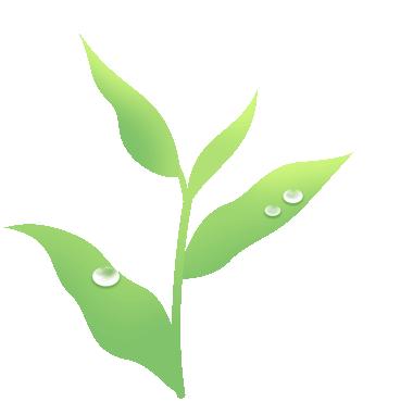 西法大到底是什么,西法大是什么意思网络用语