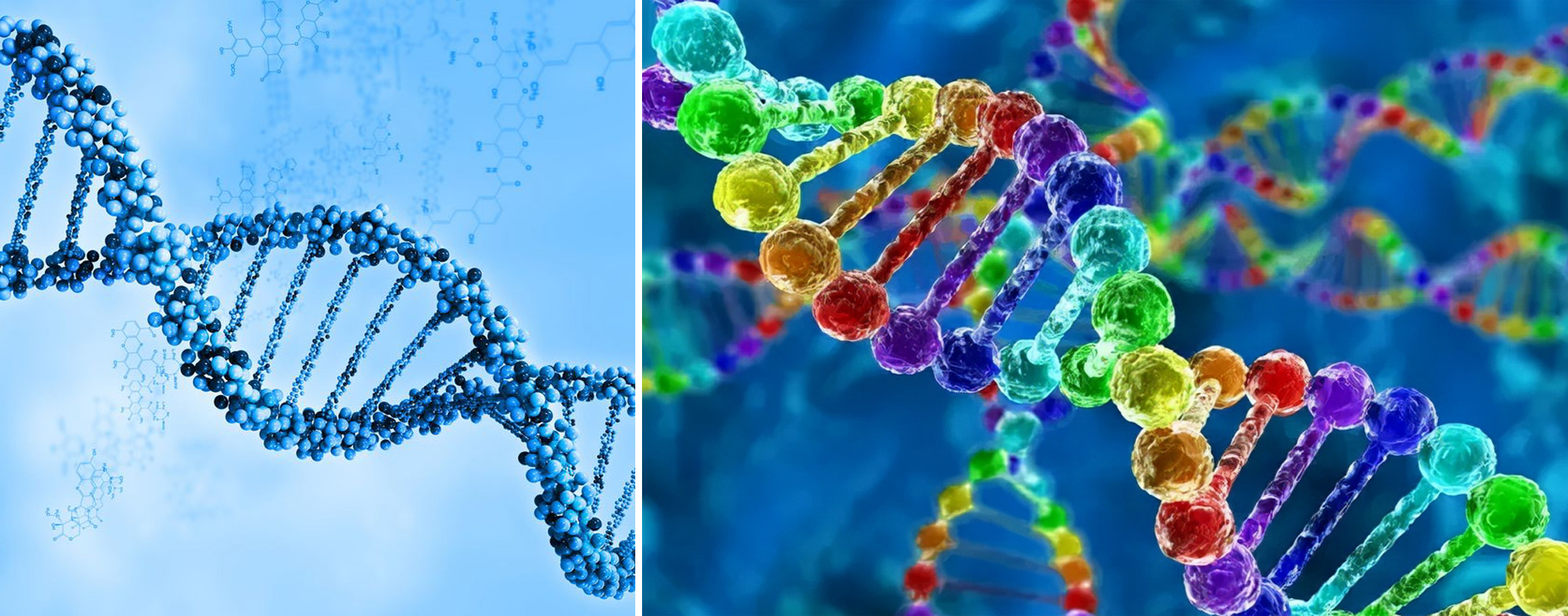 孙悟空神通广大有哪些故事,孙悟空有哪些神话故事