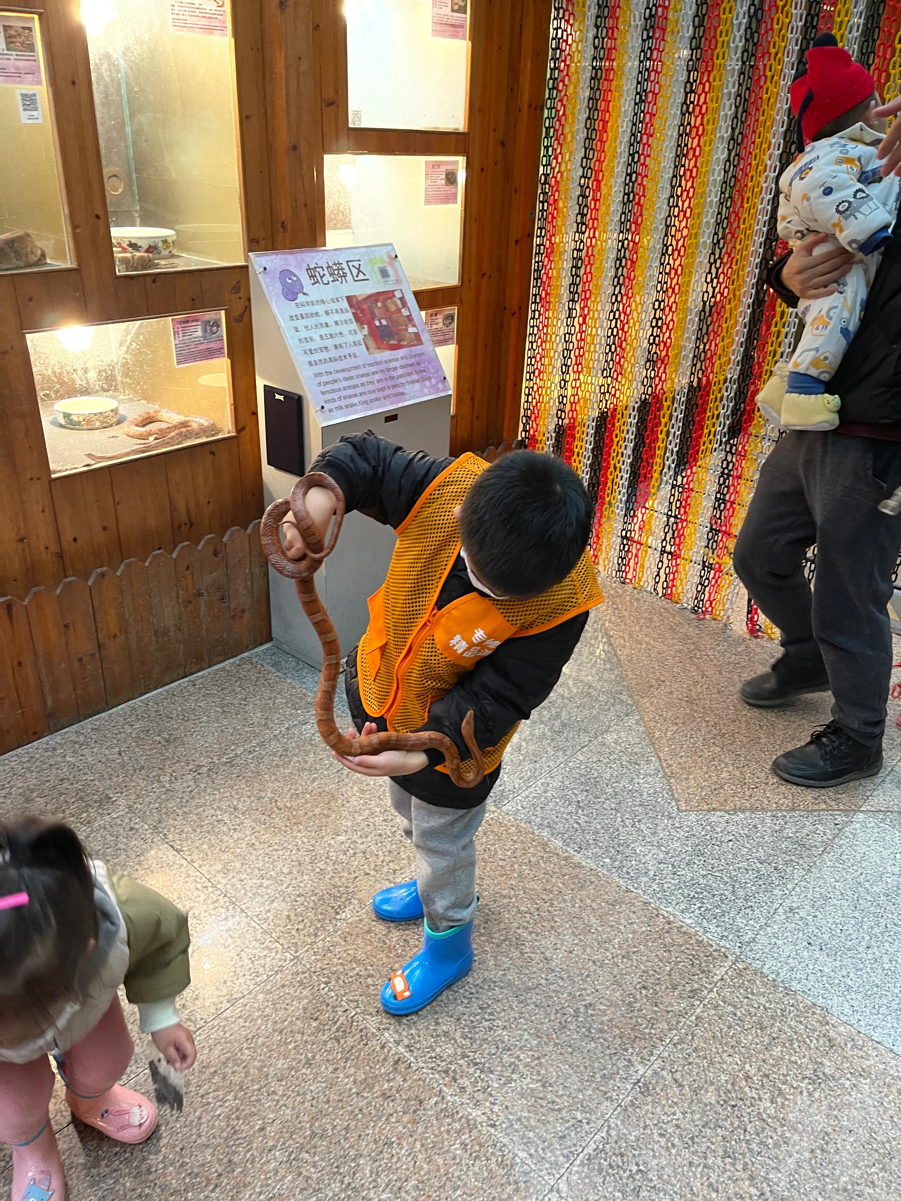 上海大自然野生昆虫博物馆,上海野生昆虫馆门票
