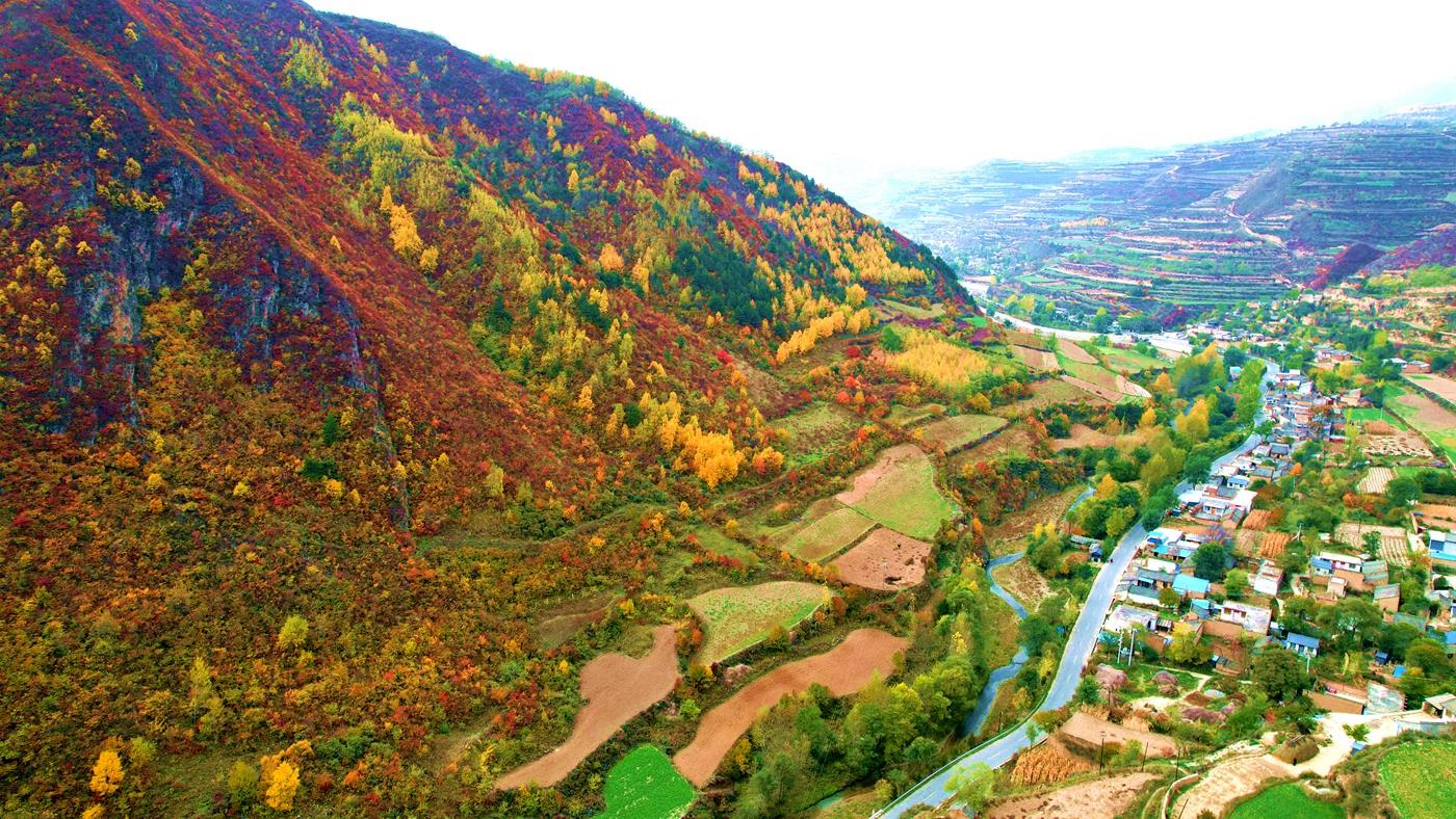 天然氧吧养生避暑,洗肺养心醒脑的天然大氧吧