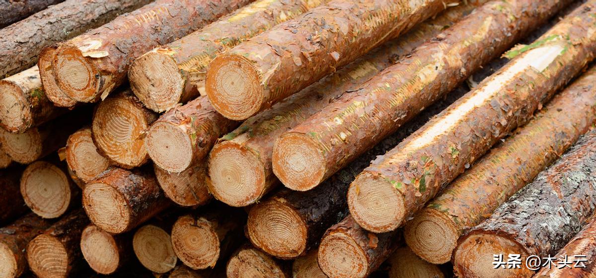 韩国进口粮食总量,韩国木材外贸订单