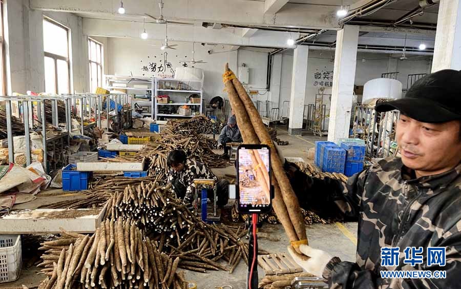 辛巴助力探索扶贫助农新路子,辛巴辛有志公益助农助力乡村振兴