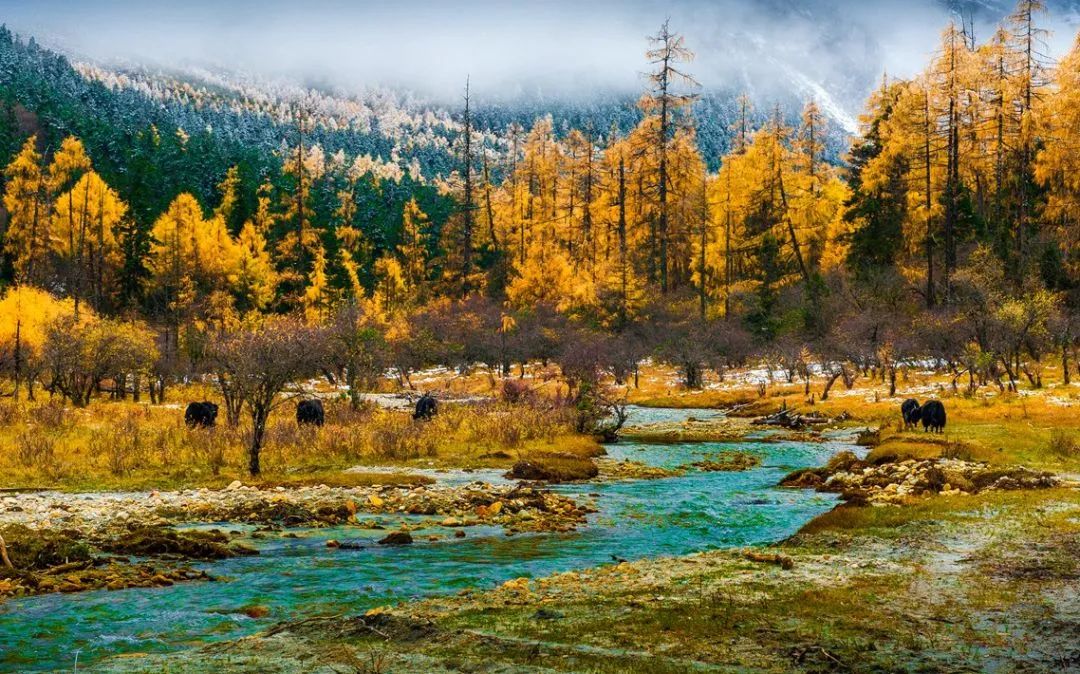 我们赞美四川70年发展变化,真正的四川现状