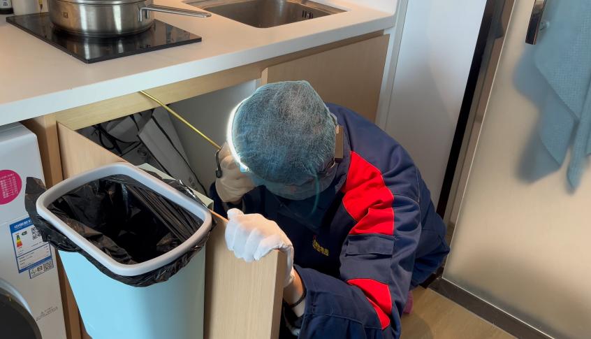 家里突然有小飞蛾还找不到来源,家里发现可疑的物品