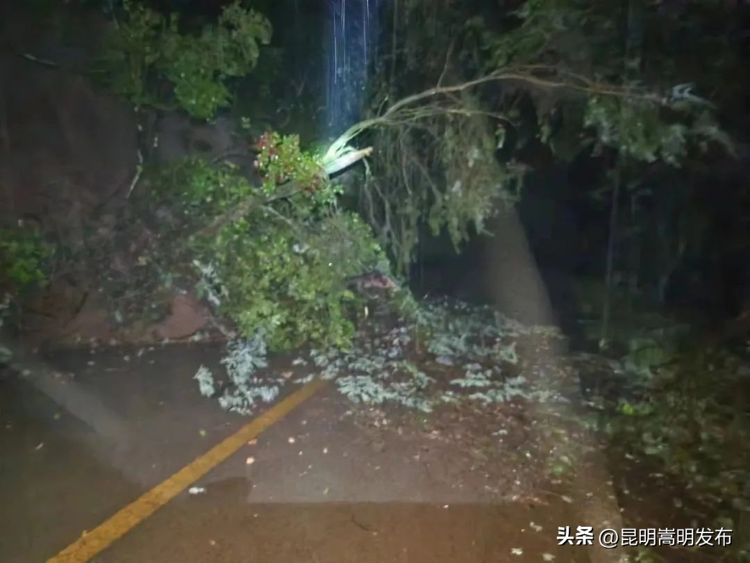 交运集团防汛紧急预案,县公路局全力以赴防汛抢险保畅通