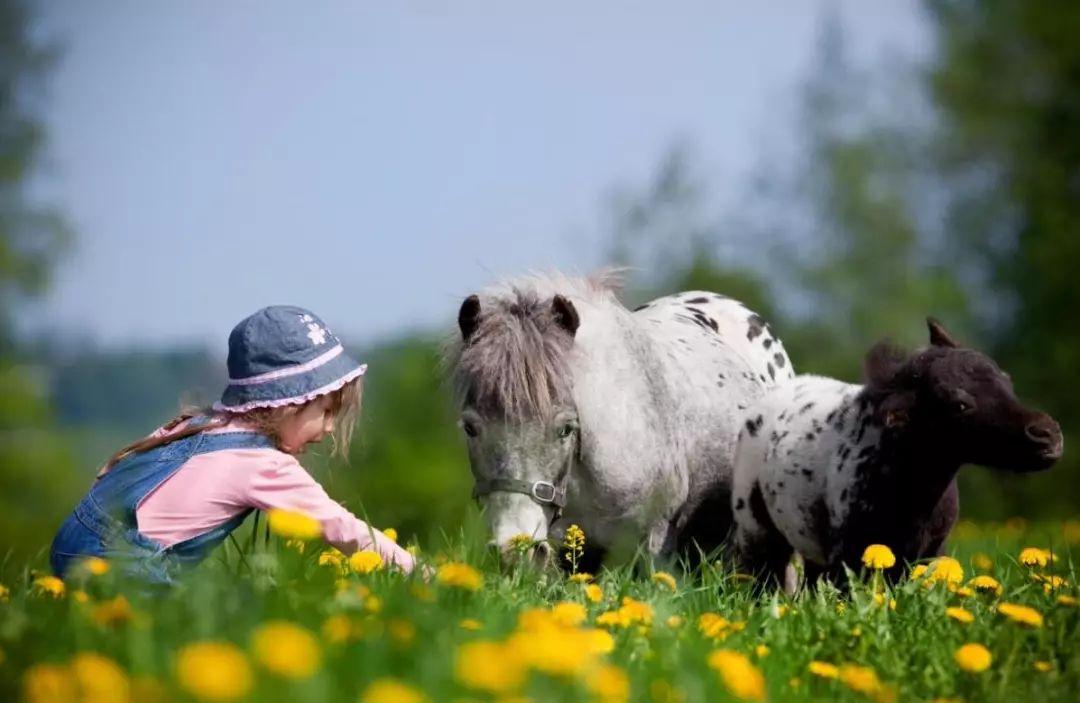 带孩子旅行一定要穷游,暑假带娃穷游有哪些方式