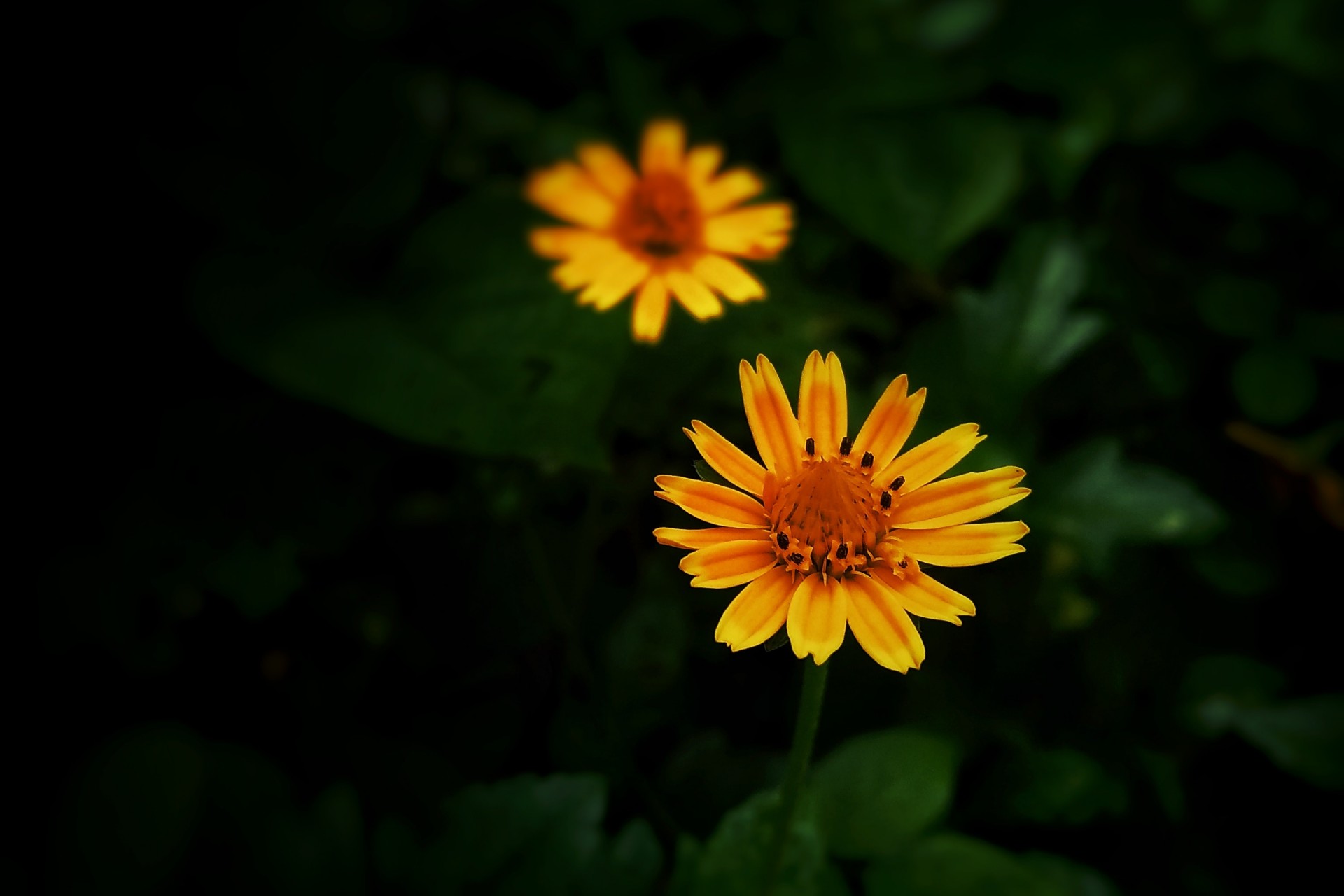 女人一定要有个蓝颜知己,做你一辈子的蓝颜知己