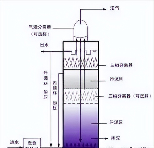 厌氧生物反应器内部图,uasb厌氧反应器原理