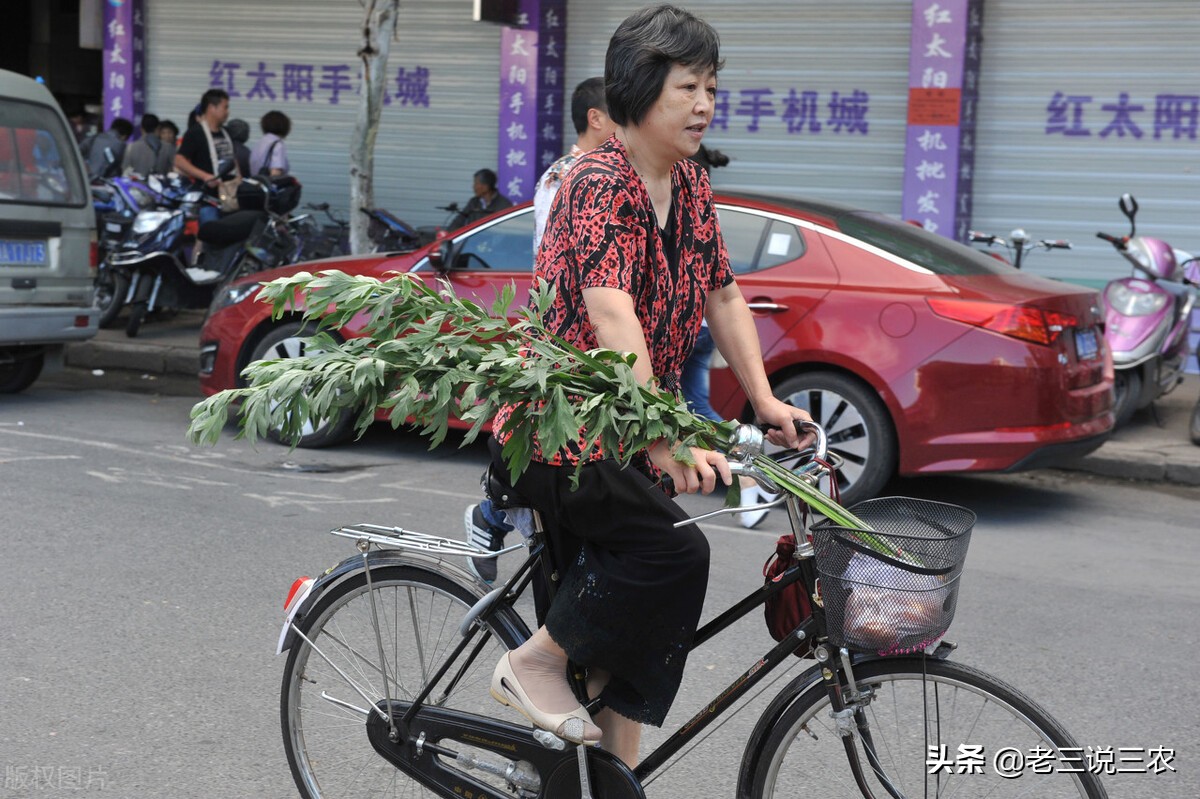 养兔技术喂兔用的主要能量饲料,能让兔子长得又快又好的饲料配方