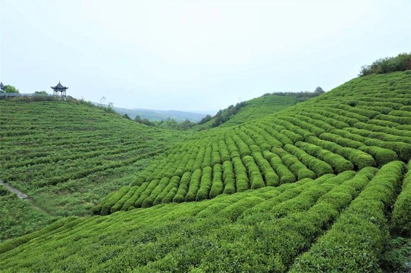 重磅！桥城五月欢乐季，2023年都匀市文化旅游玩法全网发布