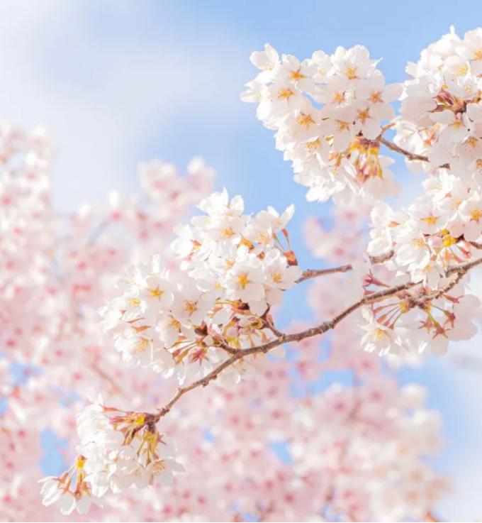 美女重伤成植物人，男友一家一起照料，美女醒来后让小伙左右为难