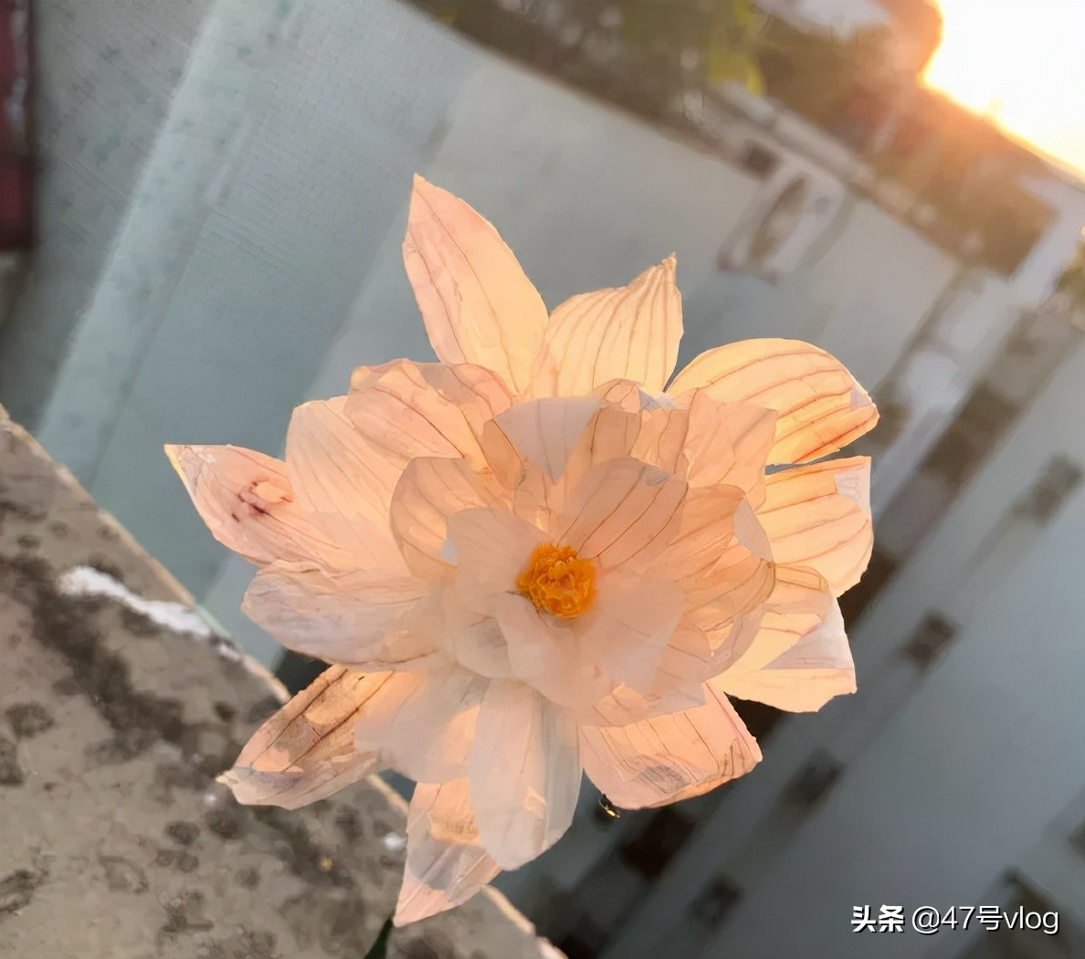 松鼠储备粮被偷冻的发抖,松鼠藏的储备粮被偷后续