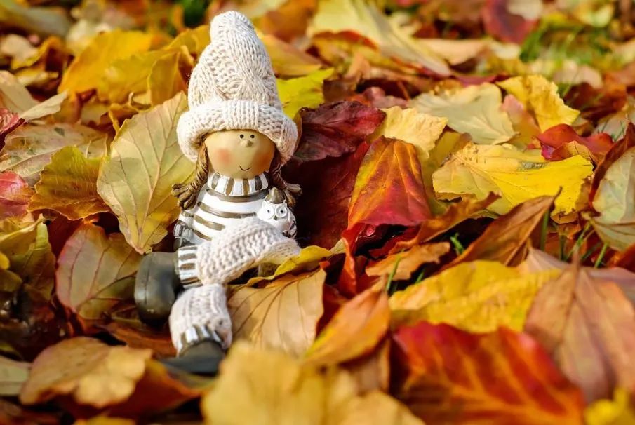 中专毕业找工作,中专毕业考博士